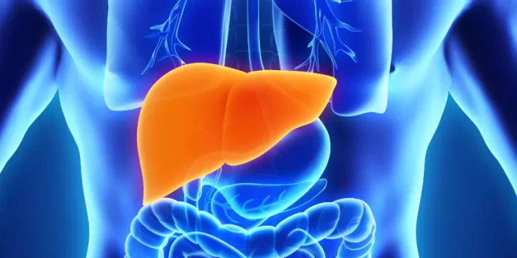 Día Mundial de las Hepatitis Virales90% de las personas que padecen hepatitis no saben que la tienen