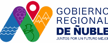 Más de 2.000 organizaciones han recibido capacitación para postular a fondos 8% del Gobierno Regional