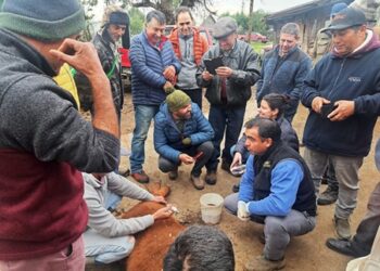 Pequeños agricultores de PRODESAL Chillán participan en taller especializado