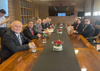 Diputado Frank Sauerbaum: “ Le pedimos al gobierno que ponga las acciones donde pone las palabras”