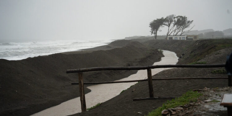 Construcción de costaneras, habilitar aeródromo y mejorar la señalización fueron las falencias que reveló la alerta de tsunami en Ñuble