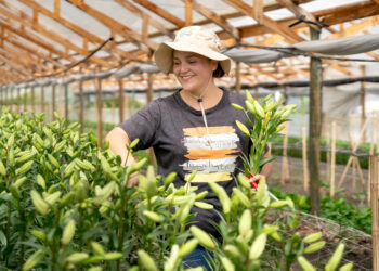 Gobierno presenta iniciativa para que juventudes rurales adquieran su primer terreno productivo