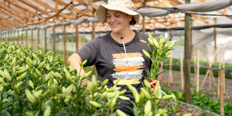 Gobierno presenta iniciativa para que juventudes rurales adquieran su primer terreno productivo