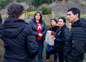 Ministra del Medio Ambiente realiza visita a terreno para conocer obras de conservación de suelo y agua en Quillón