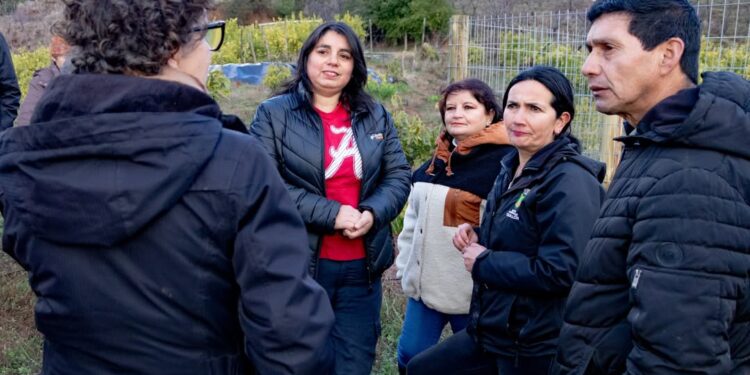 Ministra del Medio Ambiente realiza visita a terreno para conocer obras de conservación de suelo y agua en Quillón