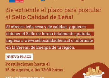 ¡Atención Ñuble! Se extendió el plazo de postulación al “Sello Calidad de Leña”
