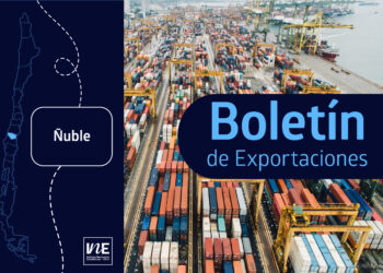 En junio de 2025, las exportaciones de la Región de Ñuble disminuyeron 18,5% interanualmente