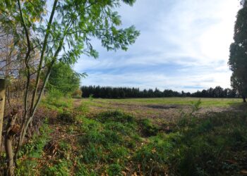 El Carmen ofrece terreno para la Escuela de Carabineros tras rechazo en Quirihue