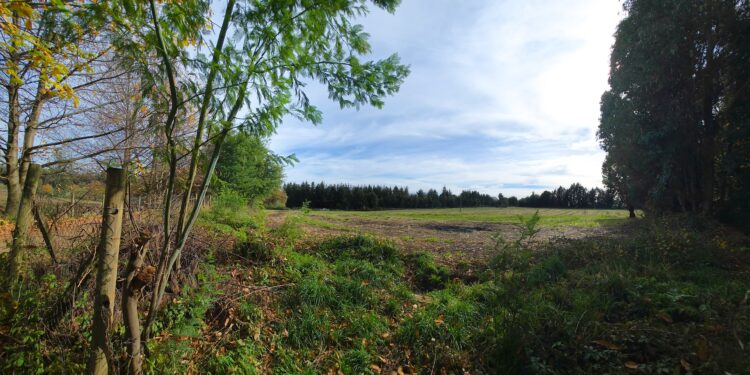 El Carmen ofrece terreno para la Escuela de Carabineros tras rechazo en Quirihue