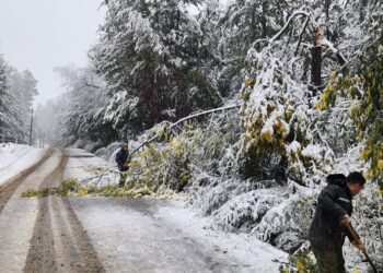Cortes de rutas y familias aisladas deja caída de nieve en zona precordillera de El Carmen