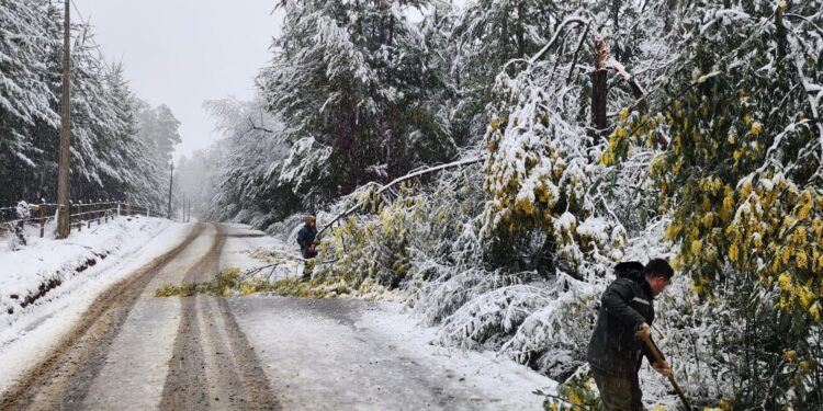 Cortes de rutas y familias aisladas deja caída de nieve en zona precordillera de El Carmen