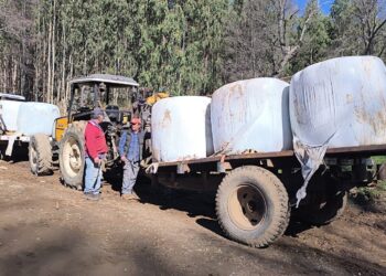 El Carmen: Donan forraje para animales de zonas afectadas por la nevazón
