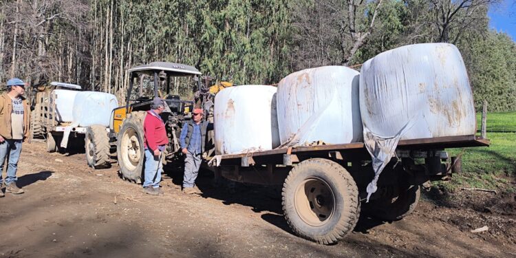 El Carmen: Donan forraje para animales de zonas afectadas por la nevazón