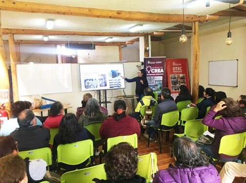 Un taller reunió a 30 agricultores para explorar el potencial comercial, nutricional y ambiental del hongo ostra, con miras a diversificar la matriz rural de Ñuble.