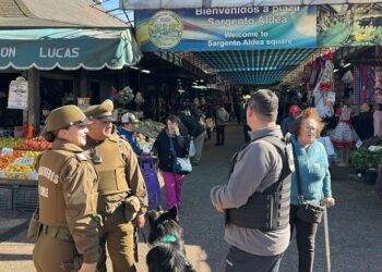 Municipalidad de Chillán reforzará vigilancia durante Fiestas Patrias