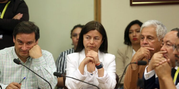 Diputada Marta Bravo en alerta tras decisión del Gobierno de rebajar presupuesto de Ñuble