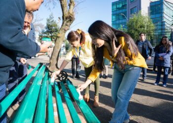 Servicio de Salud Ñuble impulsa la instalación de Bancas Verdes en las 21 comunas de la región para promover la prevención del suicido