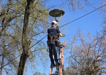El Carmen inició la instalación de cámaras de seguridad en la comuna
