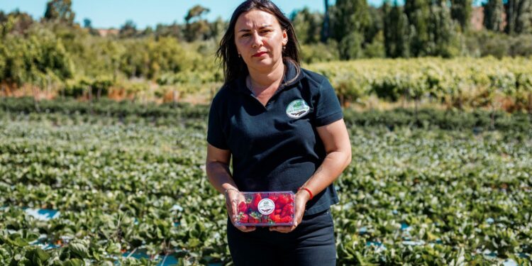 FIA invita a postular al Premio Nacional Mujer Agroinnovadora 2025 en Ñuble