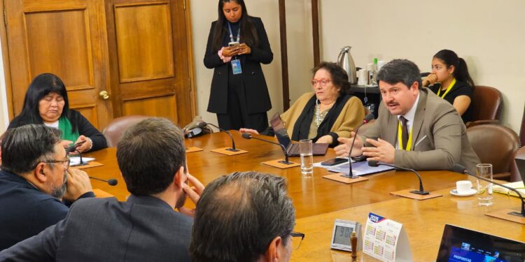 El Carmen expone situación de camiones aljibes en la Comisión de Recurso Hídricos del Congreso