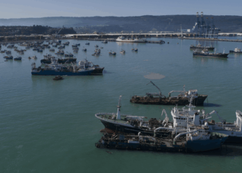 Cámara de Diputados y Diputadas  aprobó solicitar al Gobierno que elimine la resolución que permite el ingreso de barcos pesqueros de la región del Biobío a la costa de Ñuble.