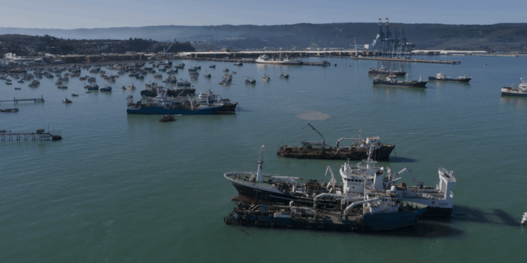 Cámara de Diputados y Diputadas  aprobó solicitar al Gobierno que elimine la resolución que permite el ingreso de barcos pesqueros de la región del Biobío a la costa de Ñuble.