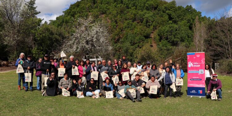 Organizaciones de Ñuble Inician ejecución de proyectos que fortalecen la participación comunitaria