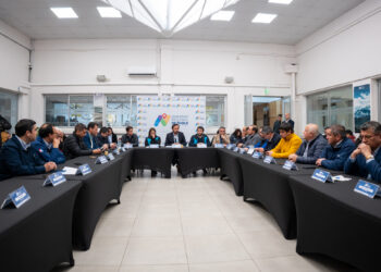 Gobernador junto a alcaldes ofician al Presidente de la República para frenar rebaja presupuestaria anunciada para Ñuble