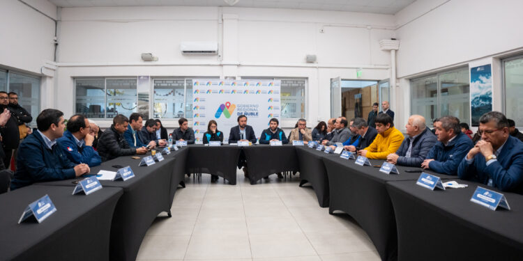 Gobernador junto a alcaldes ofician al Presidente de la República para frenar rebaja presupuestaria anunciada para Ñuble