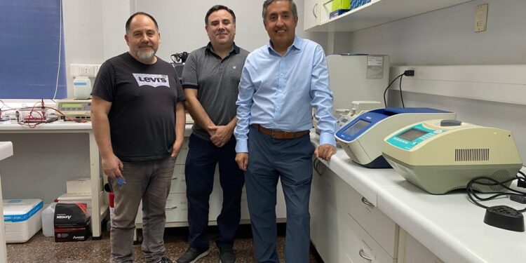 Neurólogo del Hospital de Chillán y académicos de la UCSC lideran científica de la Enfermedad Creutzfeldt-Jakob en Ñuble investigación