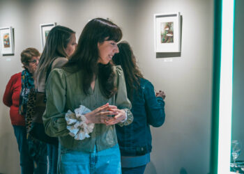 “Bajo el dosel del bosque”: una invitación a redescubrir la funga nativa a través del arte