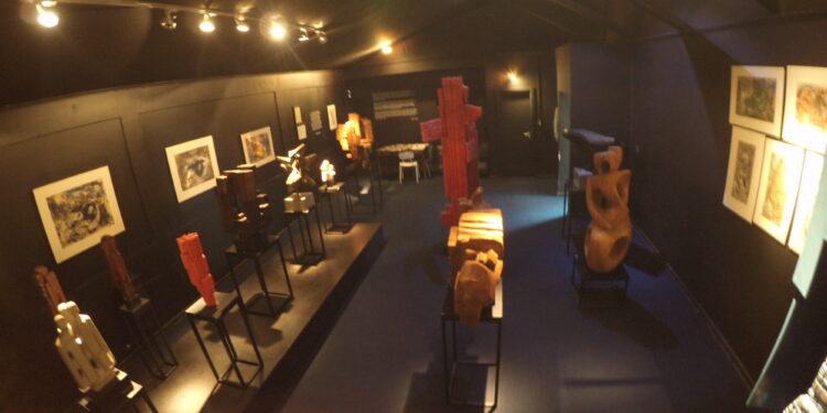 La Noche de los Museos integra a la UBB a través del Museo Marta Colvin