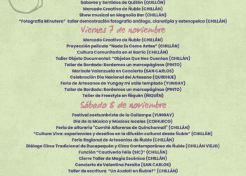 Crea Ñuble 2025 llenará de arte, música y creatividad los espacios culturales de Chillán