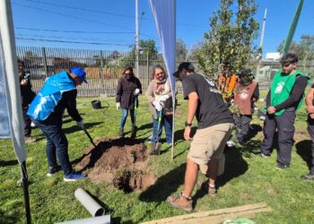 Reforestan con especies nativas el Parque Eduardo Frei de Lo Prado