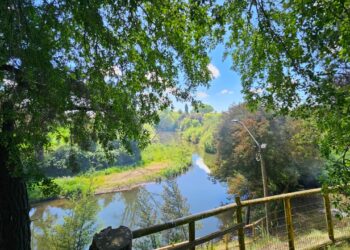 El Carmen: Confirman reapertura del Balneario Municipal para el próximo 15 de noviembre