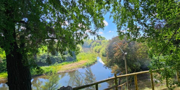 El Carmen: Confirman reapertura del Balneario Municipal para el próximo 15 de noviembre