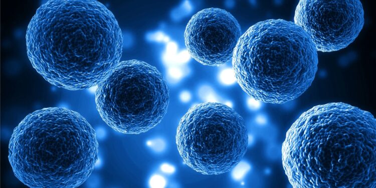 Nobel de Medicina 2025: el hallazgo que revoluciona la inmunología y abre nuevas vías terapéuticas