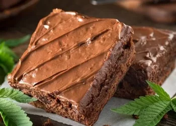“Brownies Mágicos” fue detectado por el equipo de control de drogas de Carabineros
