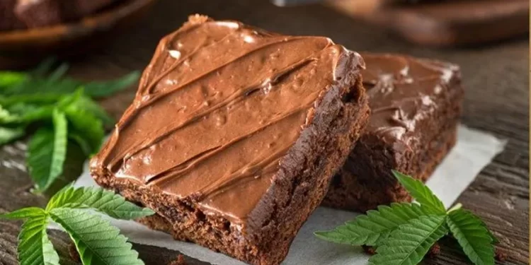 “Brownies Mágicos” fue detectado por el equipo de control de drogas de Carabineros