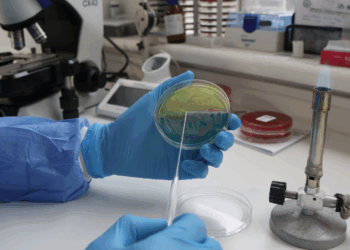 Hospital de Chillán participará en encuesta internacional para combatir la resistencia antimicrobiana