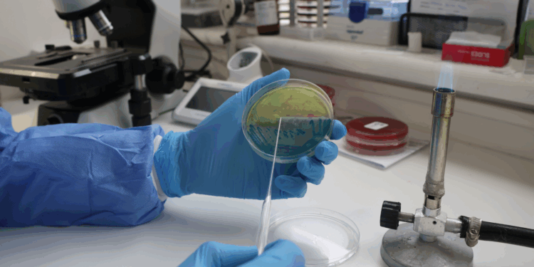 Hospital de Chillán participará en encuesta internacional para combatir la resistencia antimicrobiana