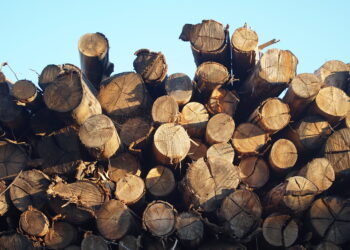 Ministerio de Energía financiará mejoramiento de maquinaria y equipamiento a productores de leña por más de $1.343 millones