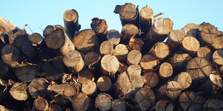 Ministerio de Energía financiará mejoramiento de maquinaria y equipamiento a productores de leña por más de $1.343 millones