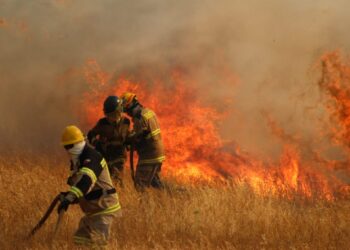 Plan de Acción ante alto posibles  incendios forestales en Ñuble por altas temperaturas