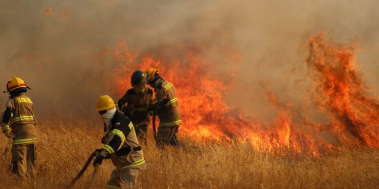 Plan de Acción ante alto posibles  incendios forestales en Ñuble por altas temperaturas