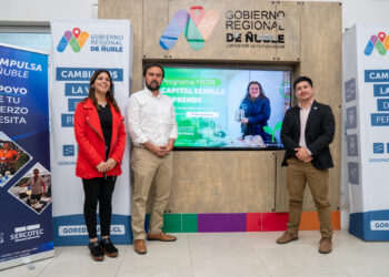 Abren postulaciones a Capital Semilla en Ñuble: Emprendedores podrán acceder a subsidios de $3,5 millones