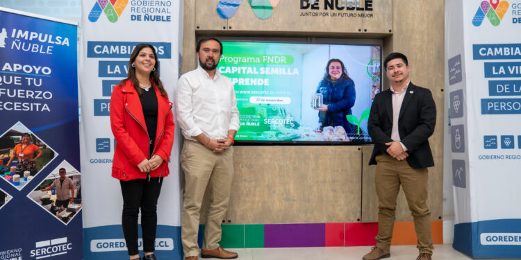 Abren postulaciones a Capital Semilla en Ñuble: Emprendedores podrán acceder a subsidios de $3,5 millones