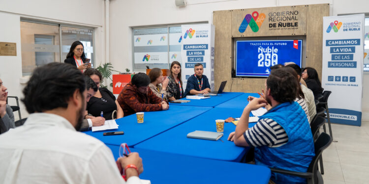 Subsecretaria de Patrimonio y Gobernador Regional reactivan instancia clave para el desarrollo de proyectos en Ñuble