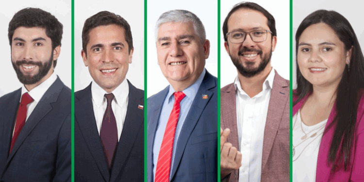 Diputados electos en la Región de Ñuble