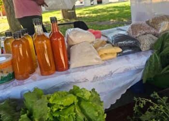 El Carmen vivirá este viernes la versión 2025 de su Expo Prodesal